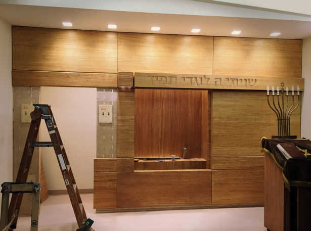 Mt. Sinai Jewish Center Project